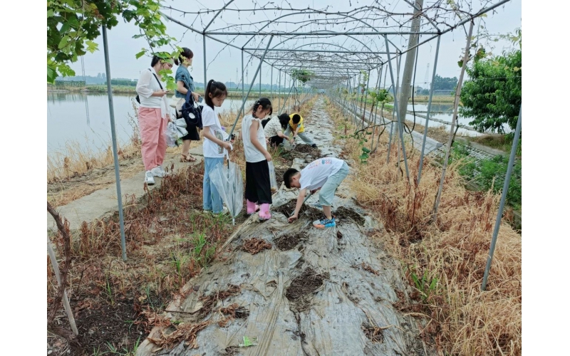 小手牵大手 劳动快乐行