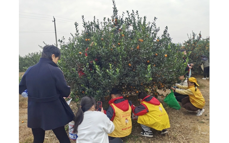 初冬暖阳里的周末趣事