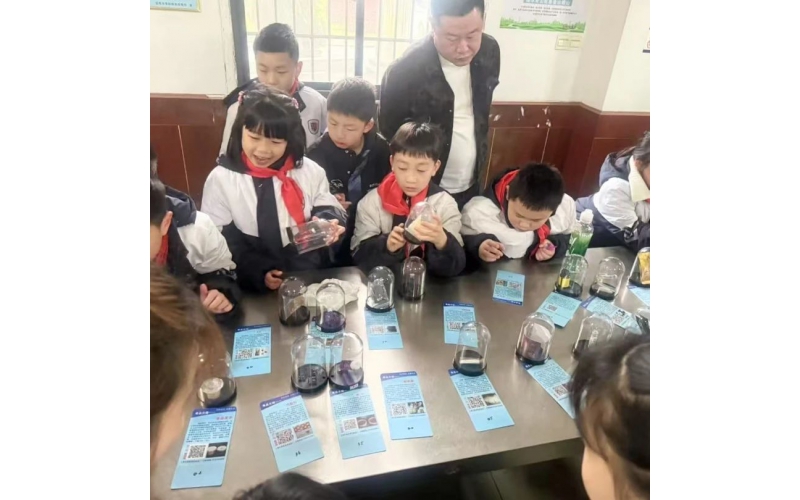 朝阳学校小学部2204班&ldquo;防毒拒毒，健康向上&rdquo;社会实践活动