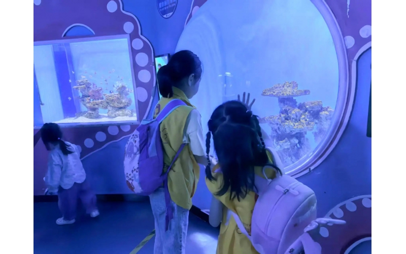 研学活动-探秘蓝色奇境，畅享欢乐时光！